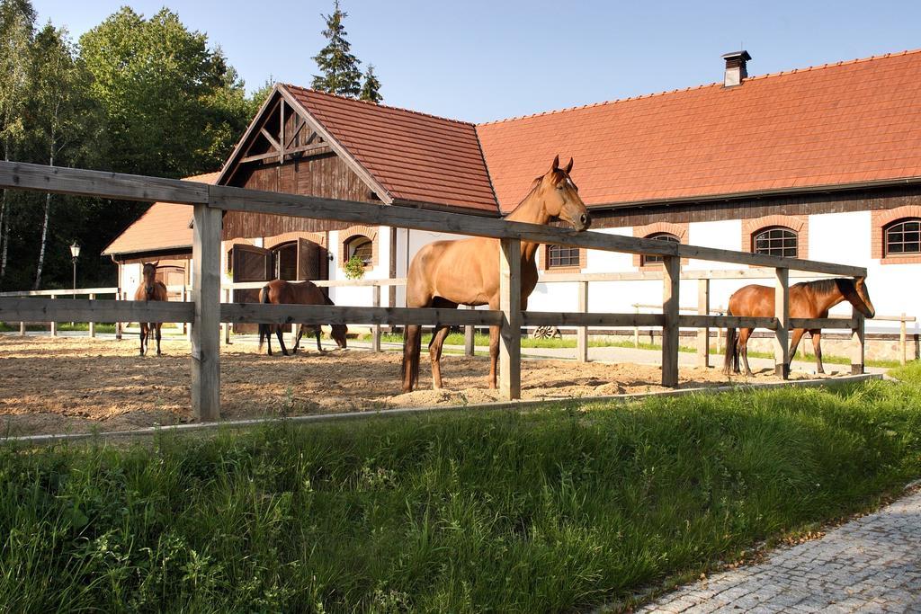 Hotel Spa Dr Irena Eris Wzgorza Dylewskie Wysoka Wies Luaran gambar